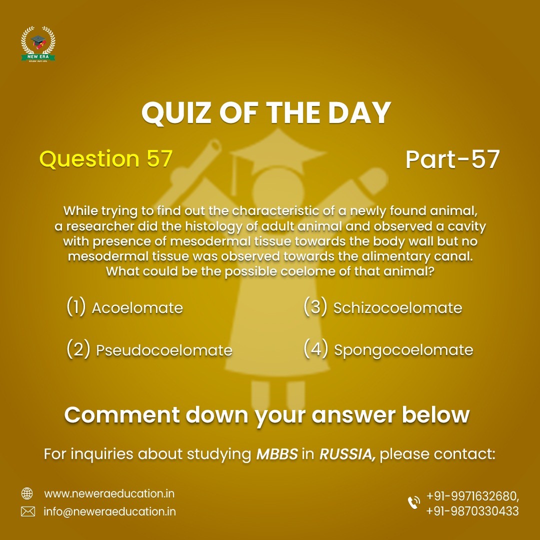 Test upload product  - Thumbnail 2